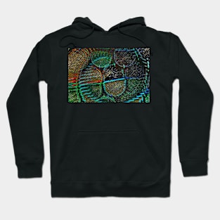 Trapper's Illusion Hoodie